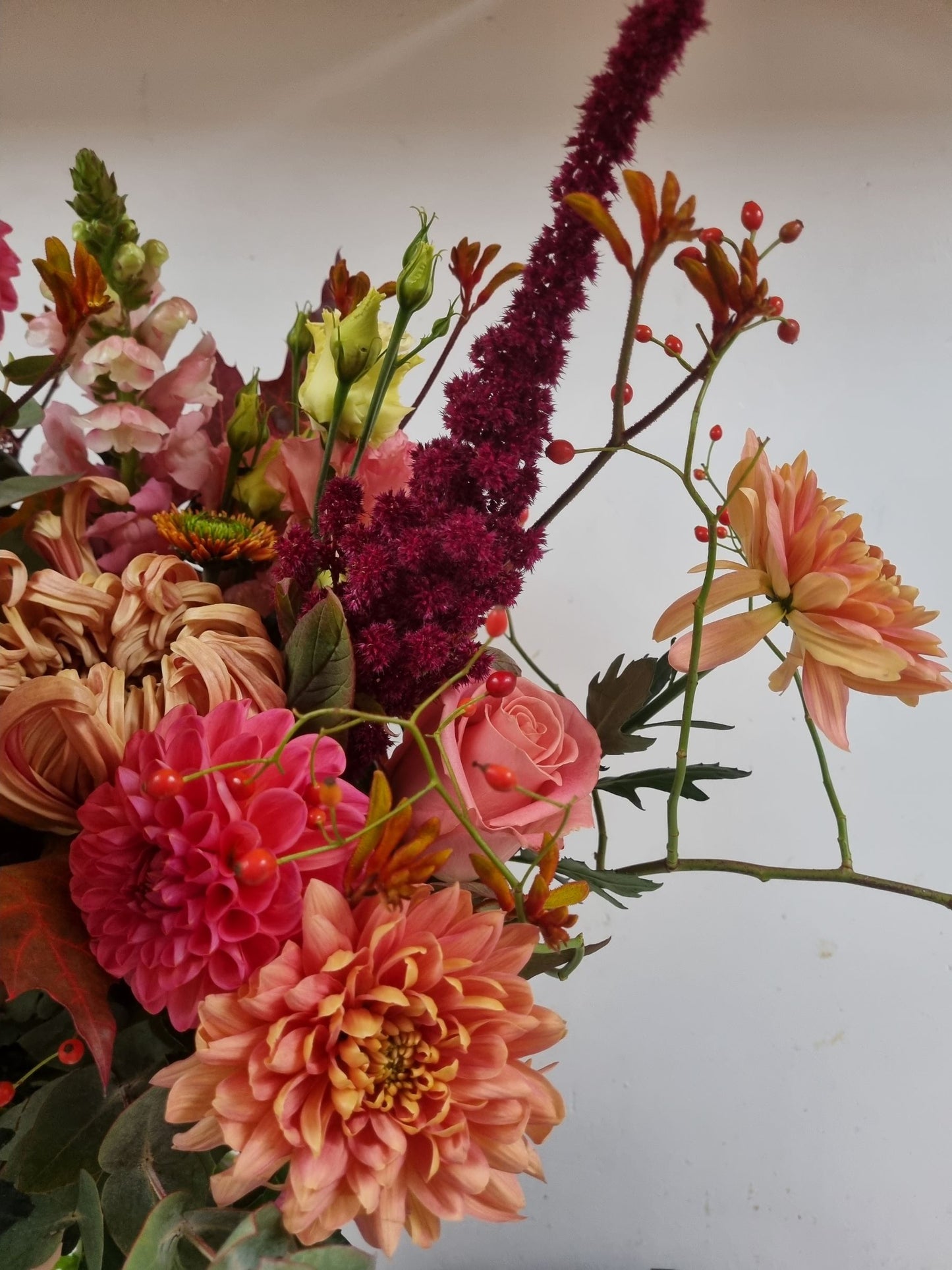 Donkere maanden abonnement